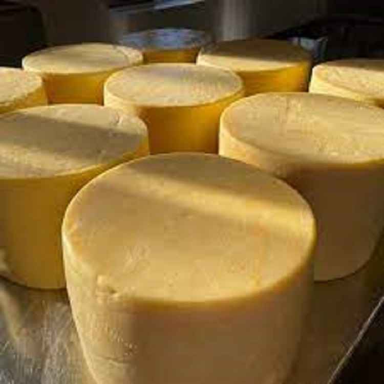 What is a Truckle of Cheese?